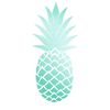 1._.teal._.pineapple._.1