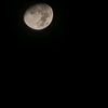 alove4luna