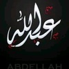 abda_299