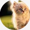 hudaahmad019