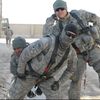 armyvet20102011