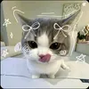 ariel_br15