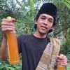 Madu Odeng Ujung Kulon