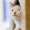 anthonyinahak