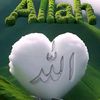 babjan210