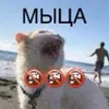 uuttkka