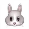 where_the_rabbit_went