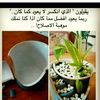 user5458280962665