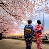 japanajuro