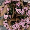 rosepetalwhisper_