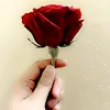 m.t93724869372486