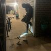 hopoutwitgen