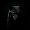 moster.hult