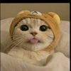 janym_so1l