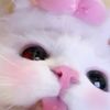 runnur_