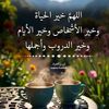 user4591146986572
