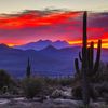 desertsun03