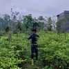erissfarm