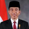 jokowidodo919