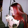 la_sullivan