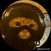 sammy_i_ammy3