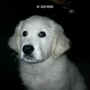 ttttttreknx