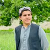 hafizullah.haleemzay