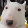 marthyreigne