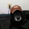 thebudsmokinman