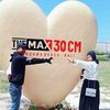 fiefa_embem
