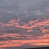 jannnisras