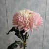 asmar_esmer
