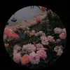razan_397