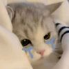 syaaa_0729