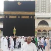 qurban.ali3553