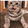 josue_f53