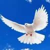 uyen_160413