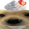 beedabbiebo0o