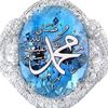 user8848448671134q