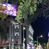 user020204138