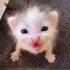 nikosronniepomogite