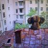 sam_ya1977