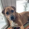 brutus0224