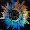 nour_s71
