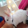 donita.0231