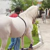 qazihamzamasood