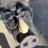 rjpiggington