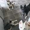 jasper.astra.skylar