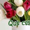 user9065122852383