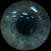 stupidgames1234